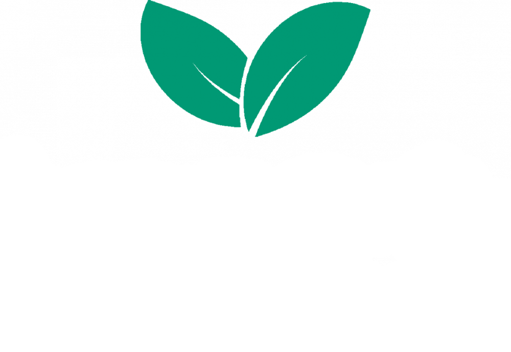 logo banner